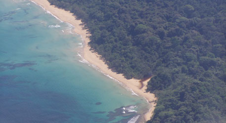 Bocas Coastline