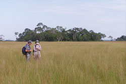 Bolivian research site