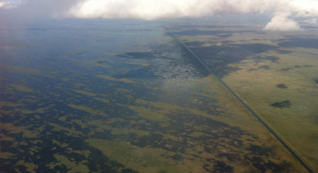 Tree Island Hydrologic Barrier